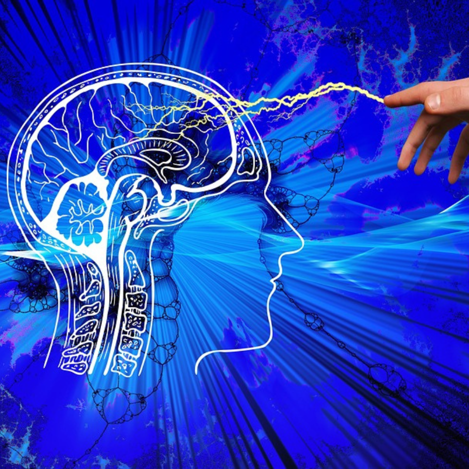 Psicólogo - Consulta especializada